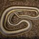 A rosy boa lies on astroturf